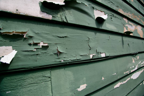 Best Engineered Wood Siding  in Long Branch, VA