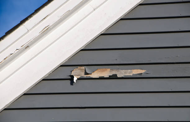 Long Branch, VA Siding Installation & Repair Company